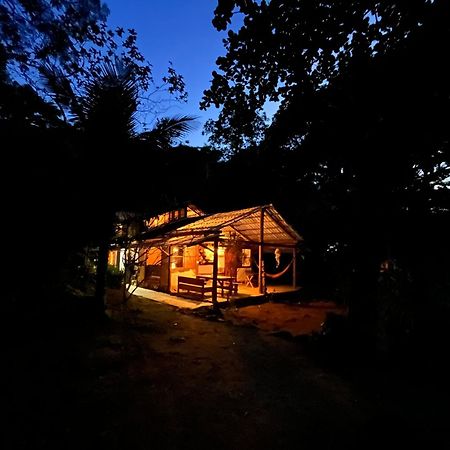 Jungle Lodge 格兰德岛 外观 照片