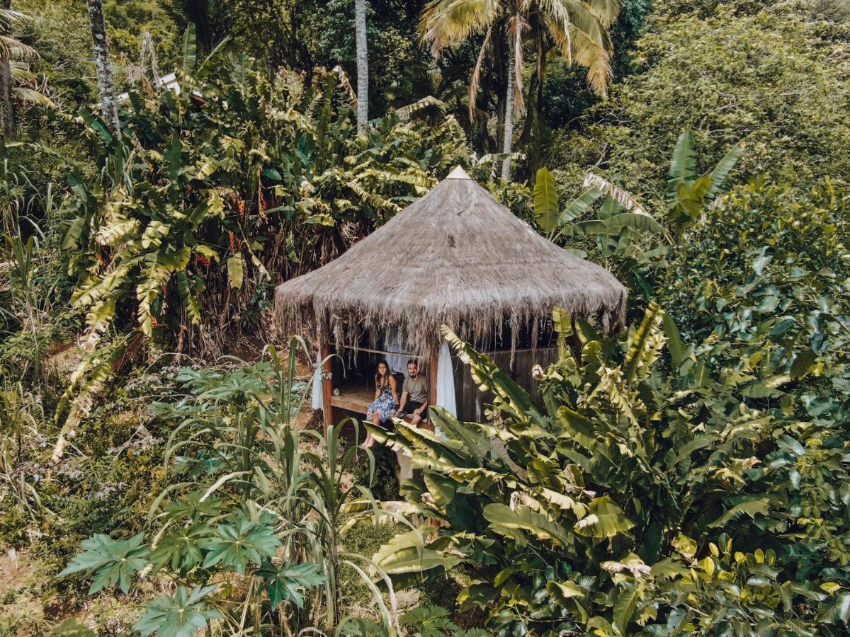 Jungle Lodge 格兰德岛 外观 照片