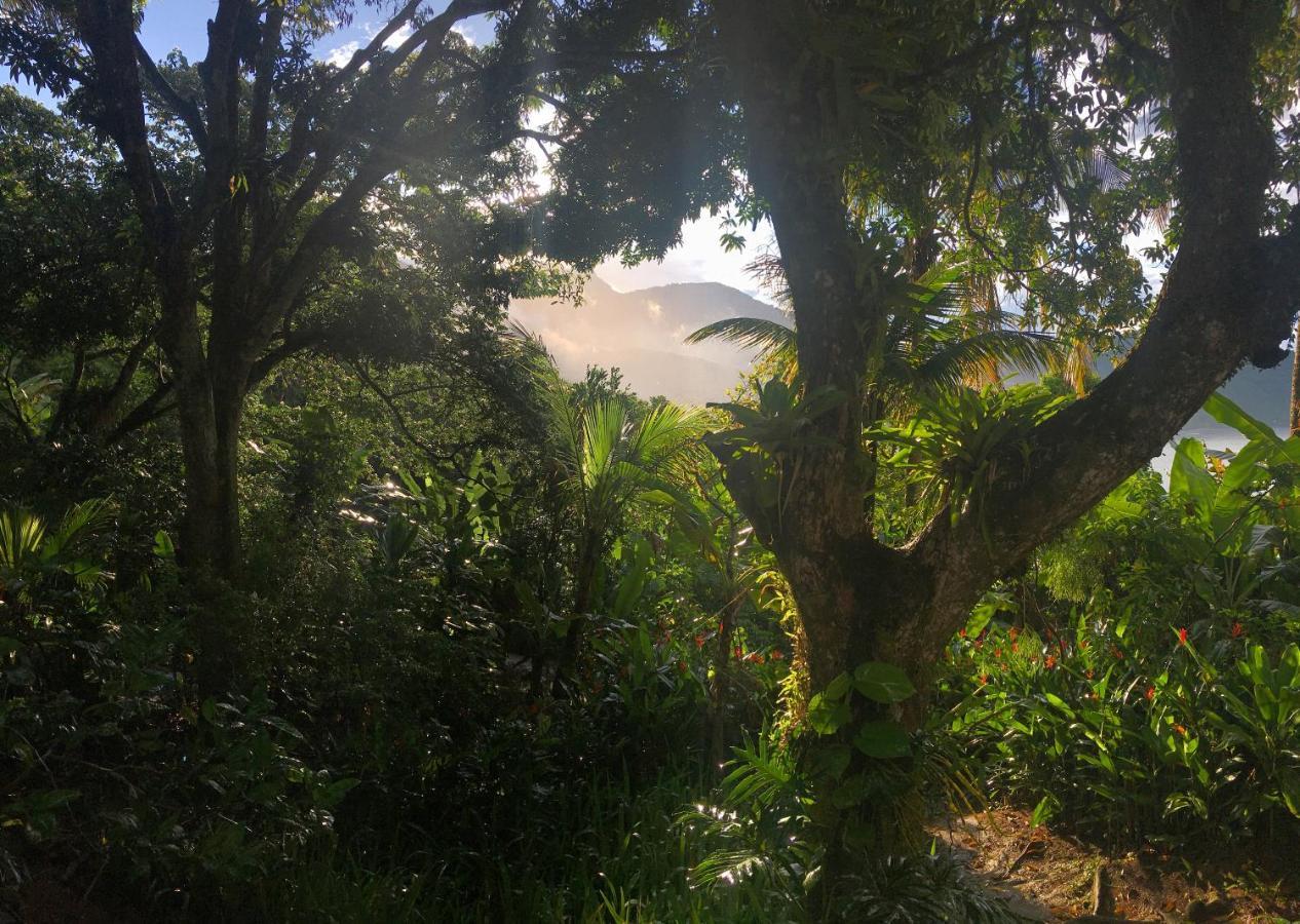 Jungle Lodge 格兰德岛 外观 照片