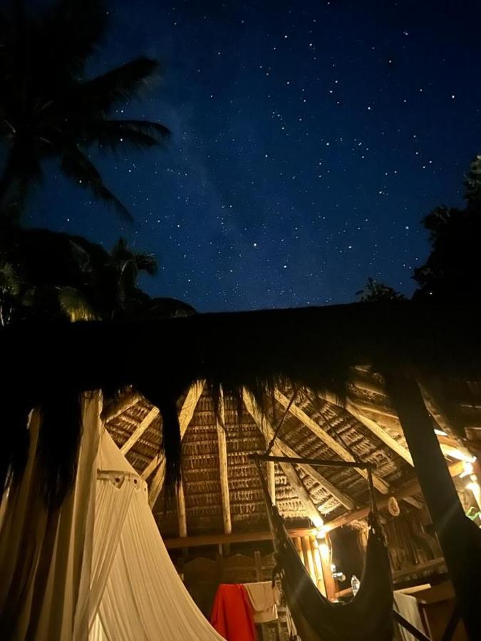 Jungle Lodge 格兰德岛 外观 照片