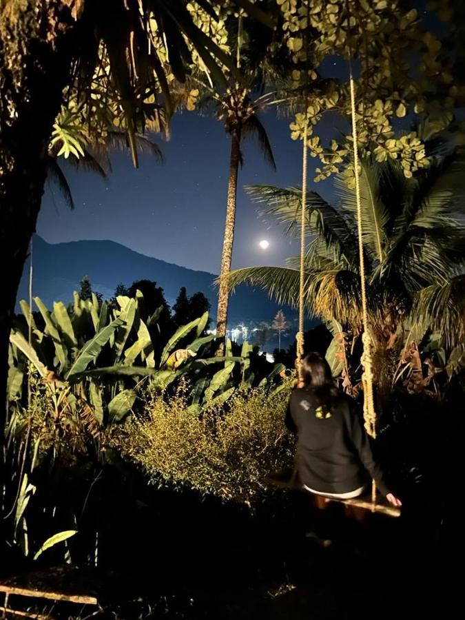 Jungle Lodge 格兰德岛 外观 照片