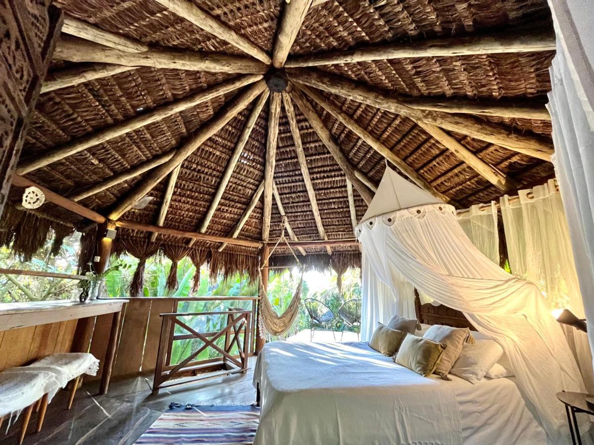 Jungle Lodge 格兰德岛 外观 照片