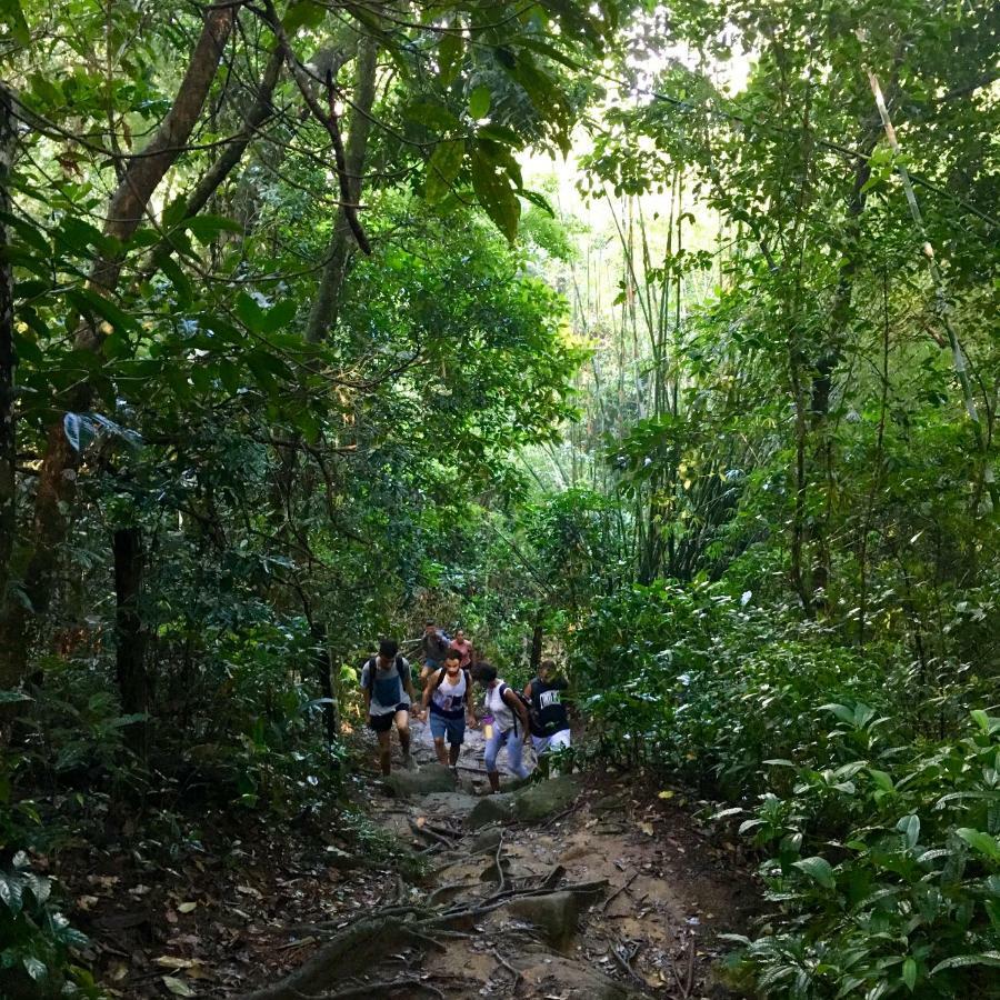 Jungle Lodge 格兰德岛 外观 照片