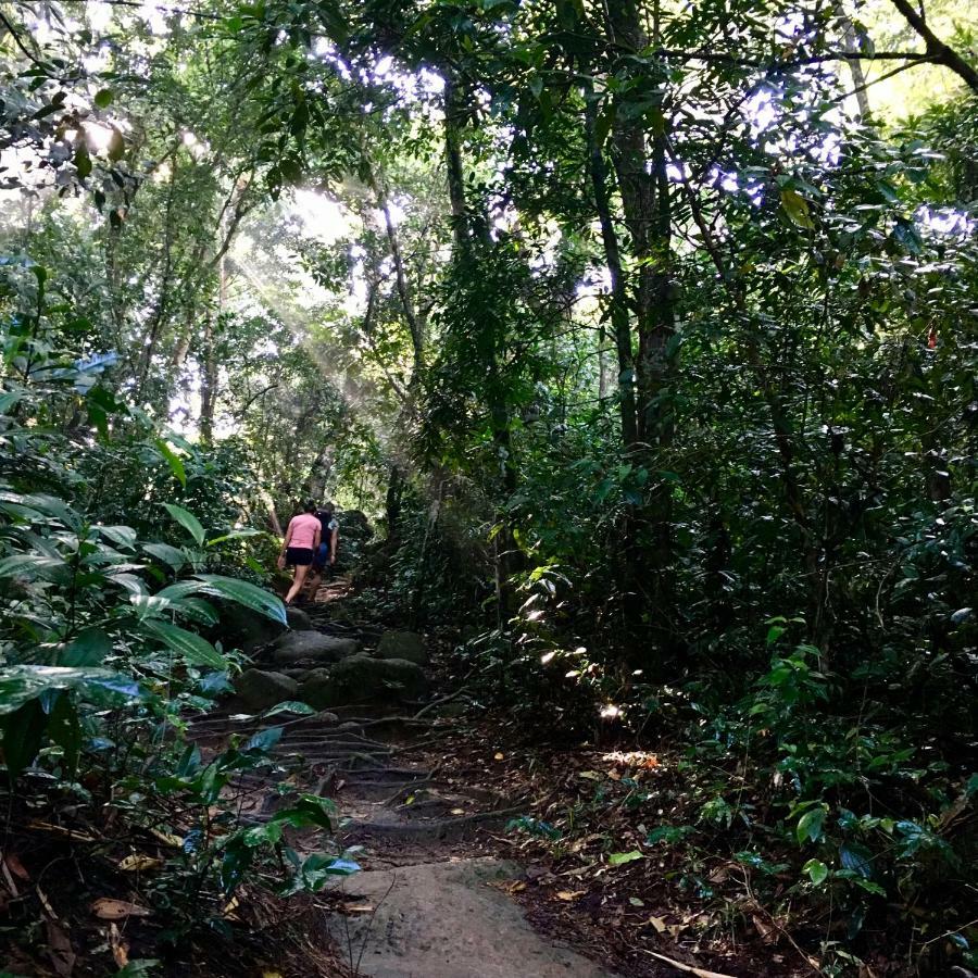 Jungle Lodge 格兰德岛 外观 照片
