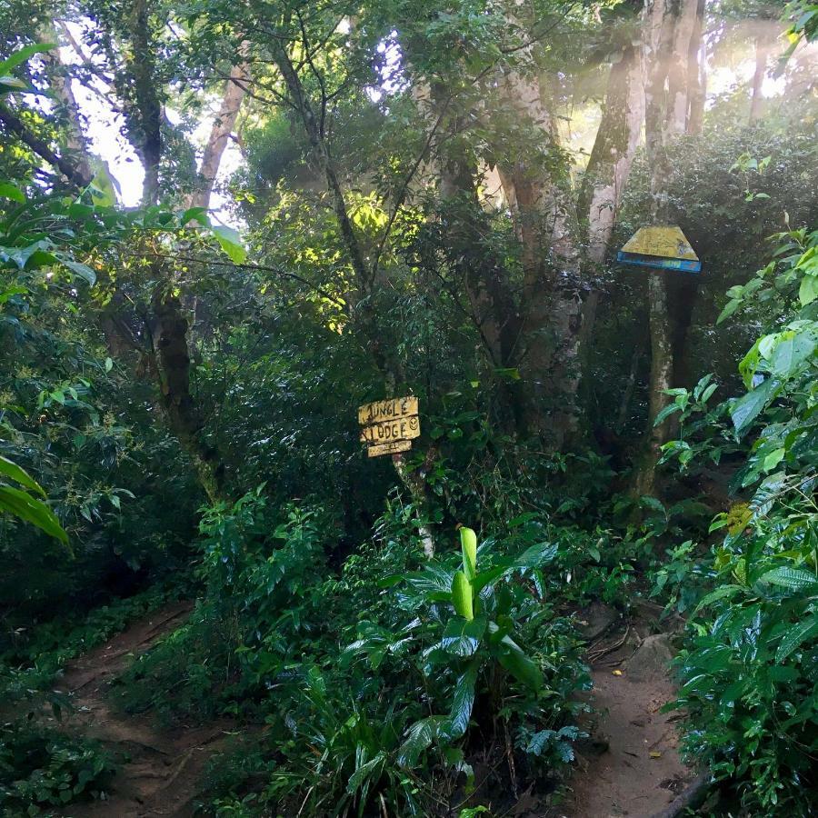 Jungle Lodge 格兰德岛 外观 照片