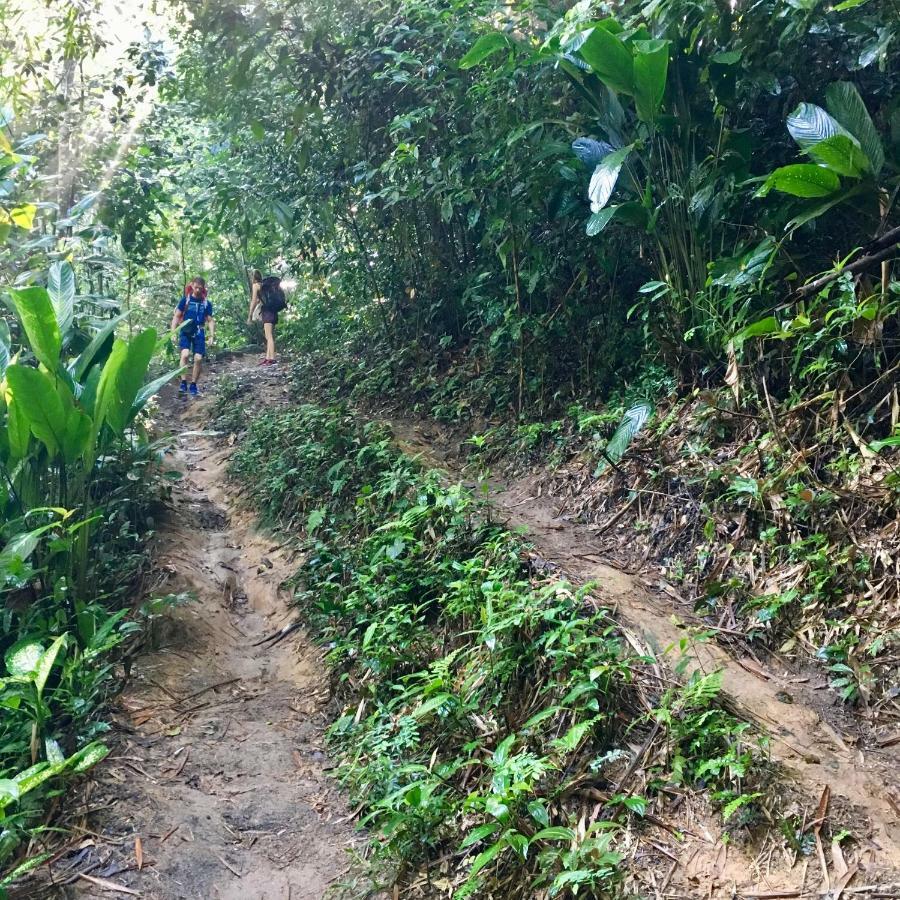 Jungle Lodge 格兰德岛 外观 照片