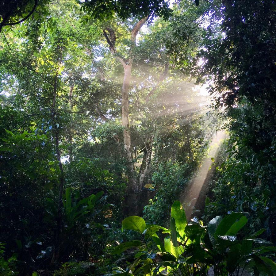 Jungle Lodge 格兰德岛 外观 照片