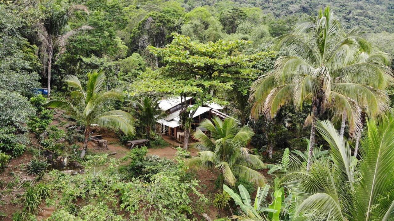 Jungle Lodge 格兰德岛 外观 照片